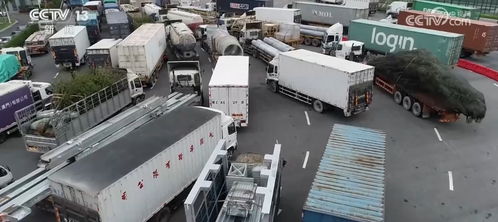 車暢人旺，港珠澳大橋經貿通道正崛起