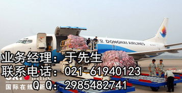 高效通關(guān)，無憂貿(mào)易 全面解析進出口清關(guān)物流代理